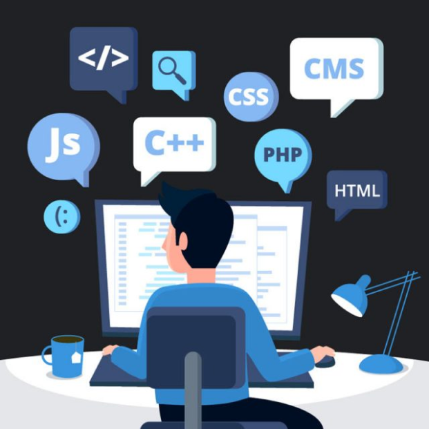 App & Web Development in Raipur - DeveloperBox