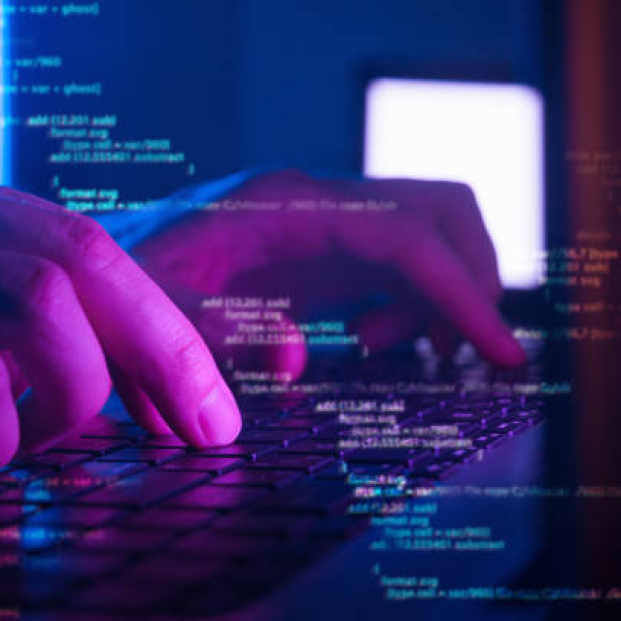 Full-Service Tech Company Raipur - Developer Box
