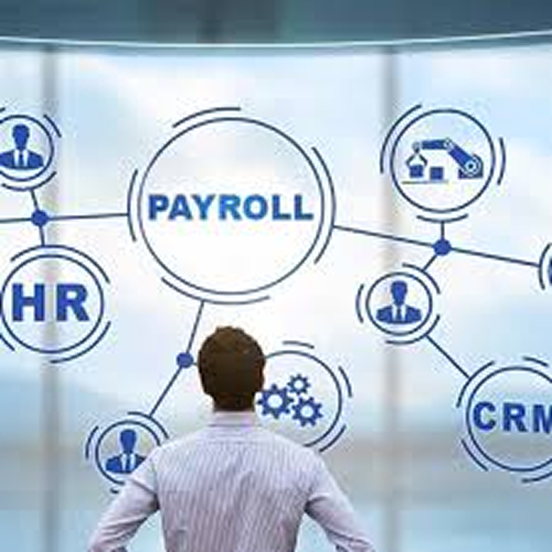 HRMS Payroll Raipur - Developer box